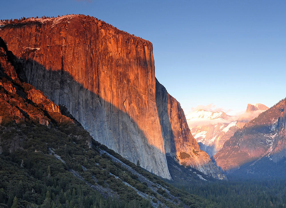 Yosemite National Park: A Push Pin Map Adventure