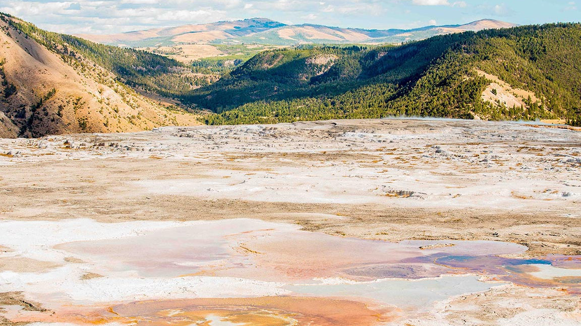 USA National Parks: Biodiversity in Yellowstone