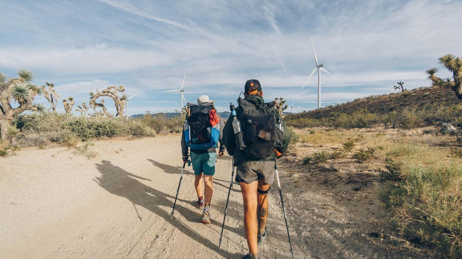 Pacific Crest Trail Part 1: The Desert