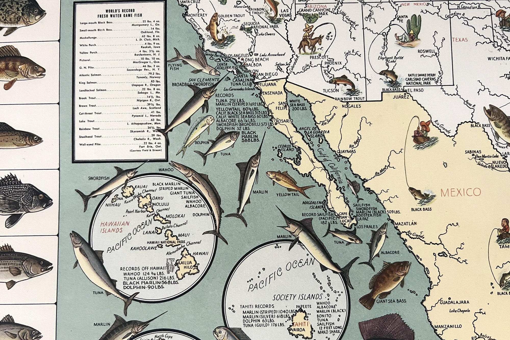 USA native fish map