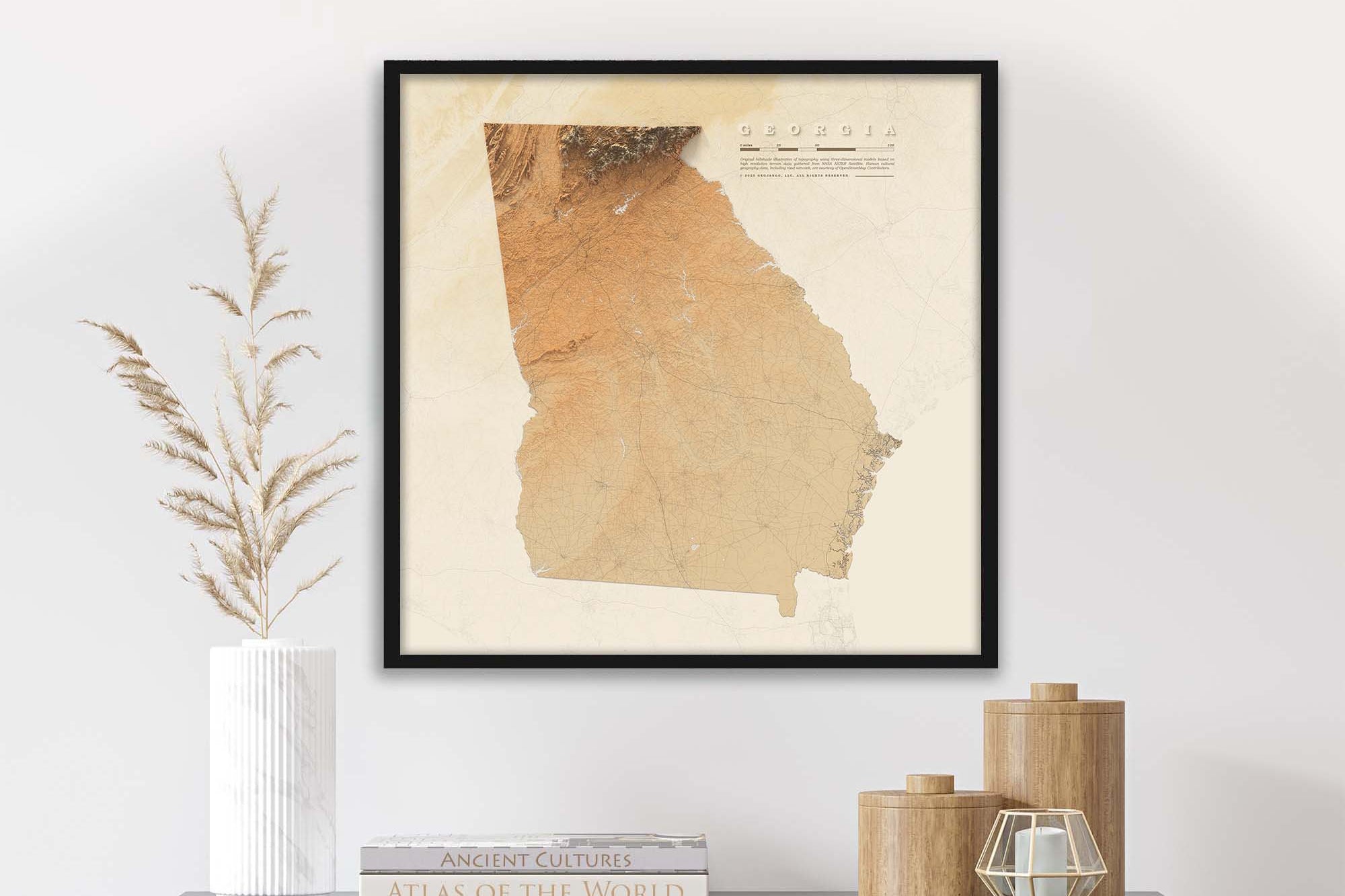 Framed Georgia Topography wall art