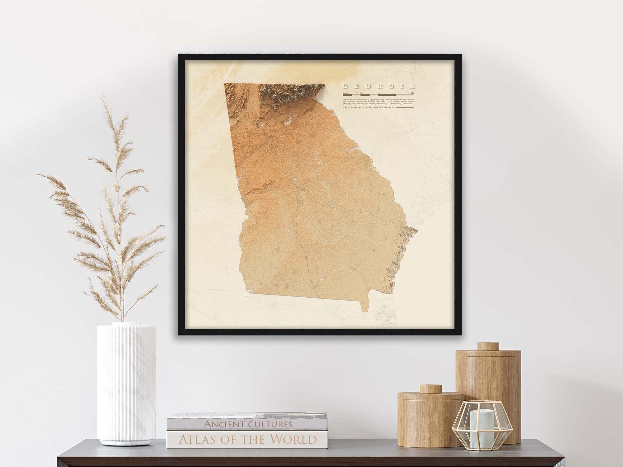 Framed Georgia Topography wall art