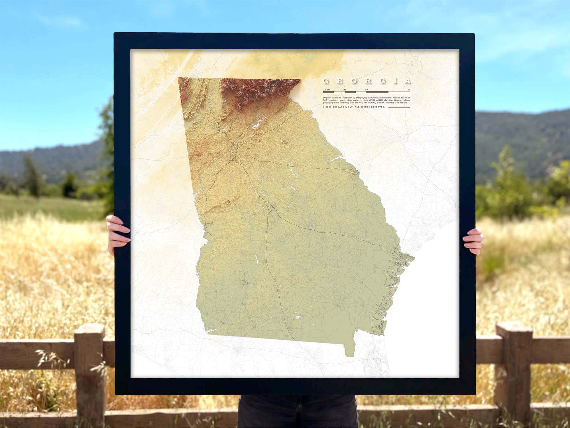 Georgia shaded relief map print