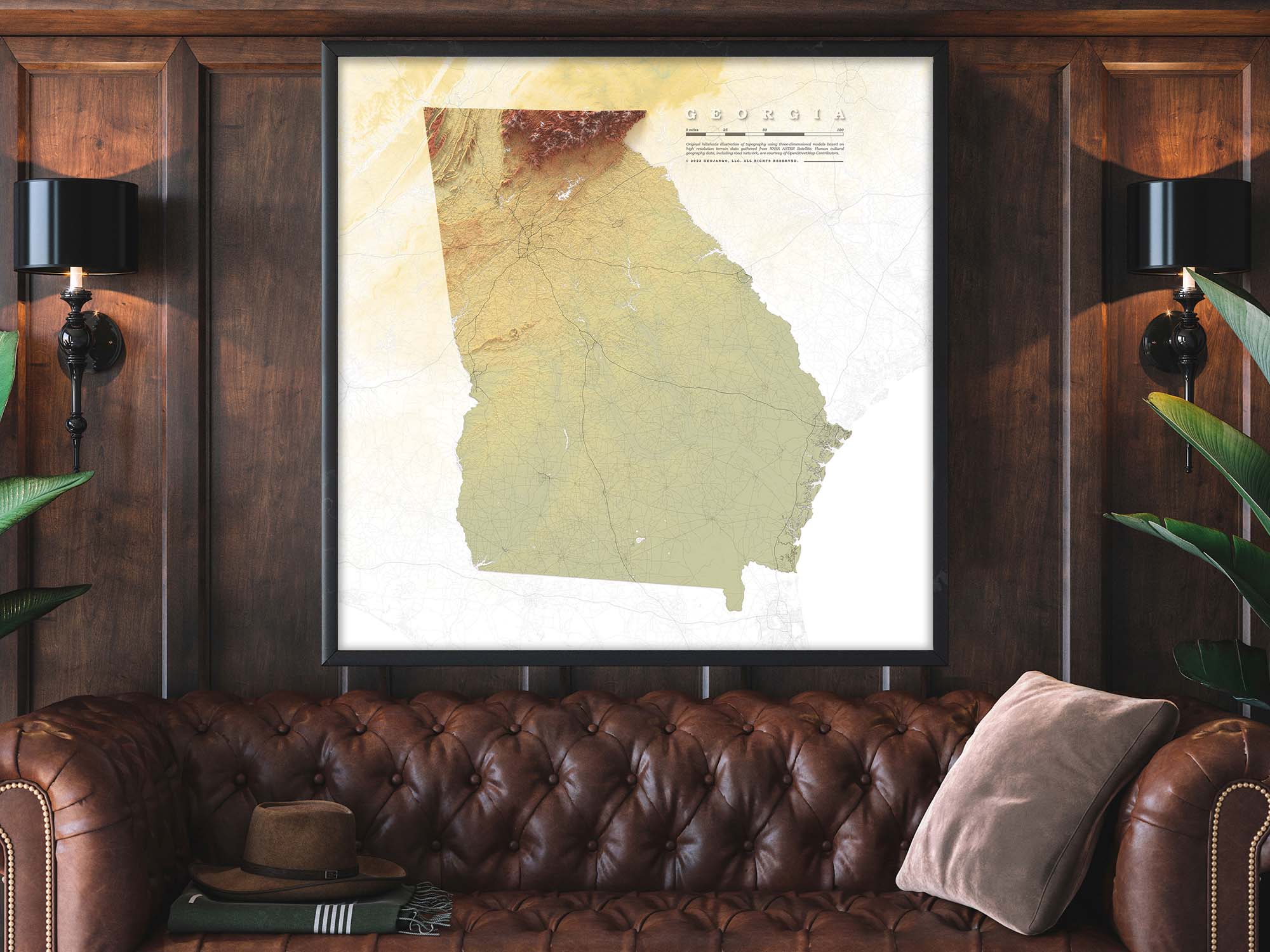 Georgia Elevation map wall art