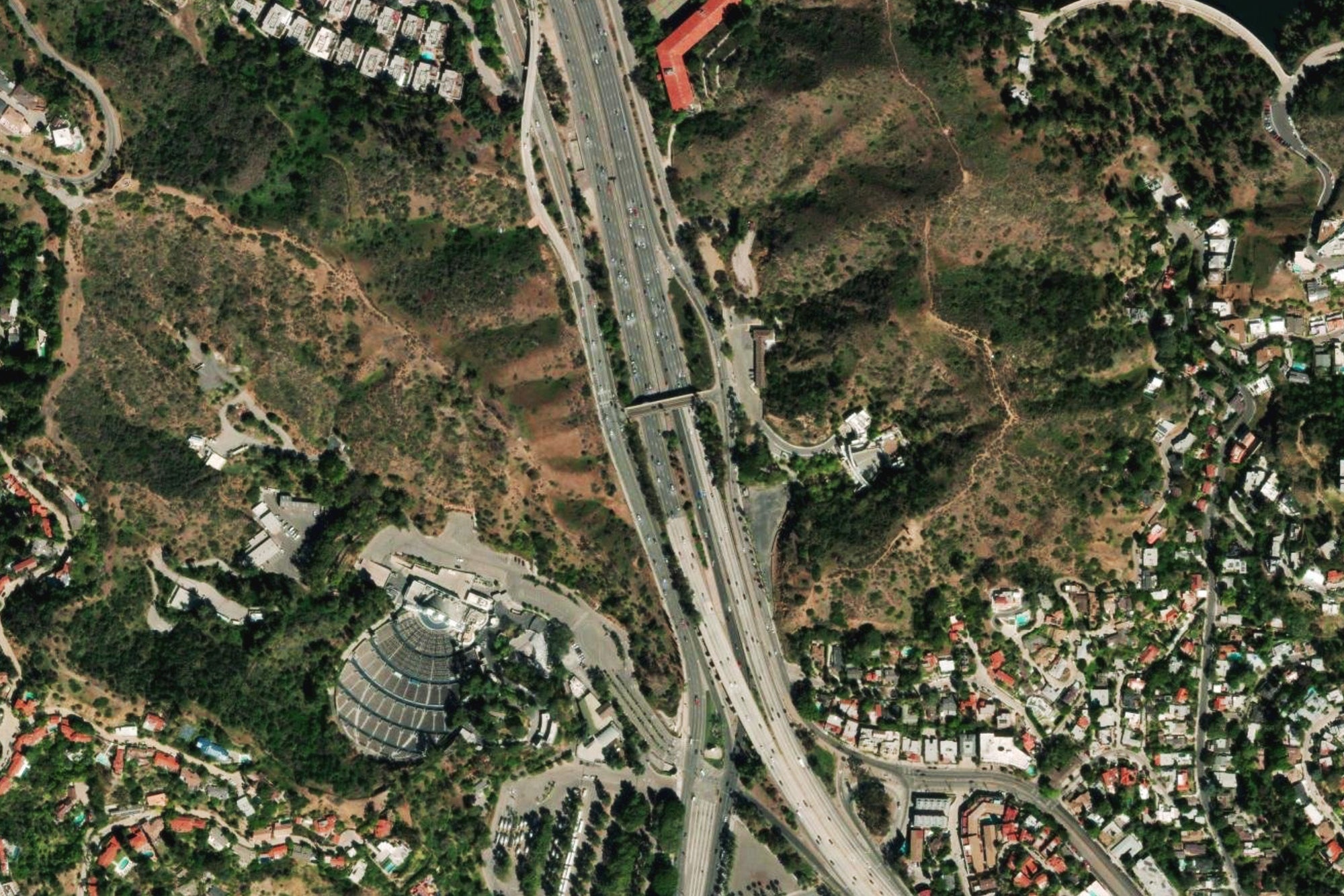 hollywood bowl poster