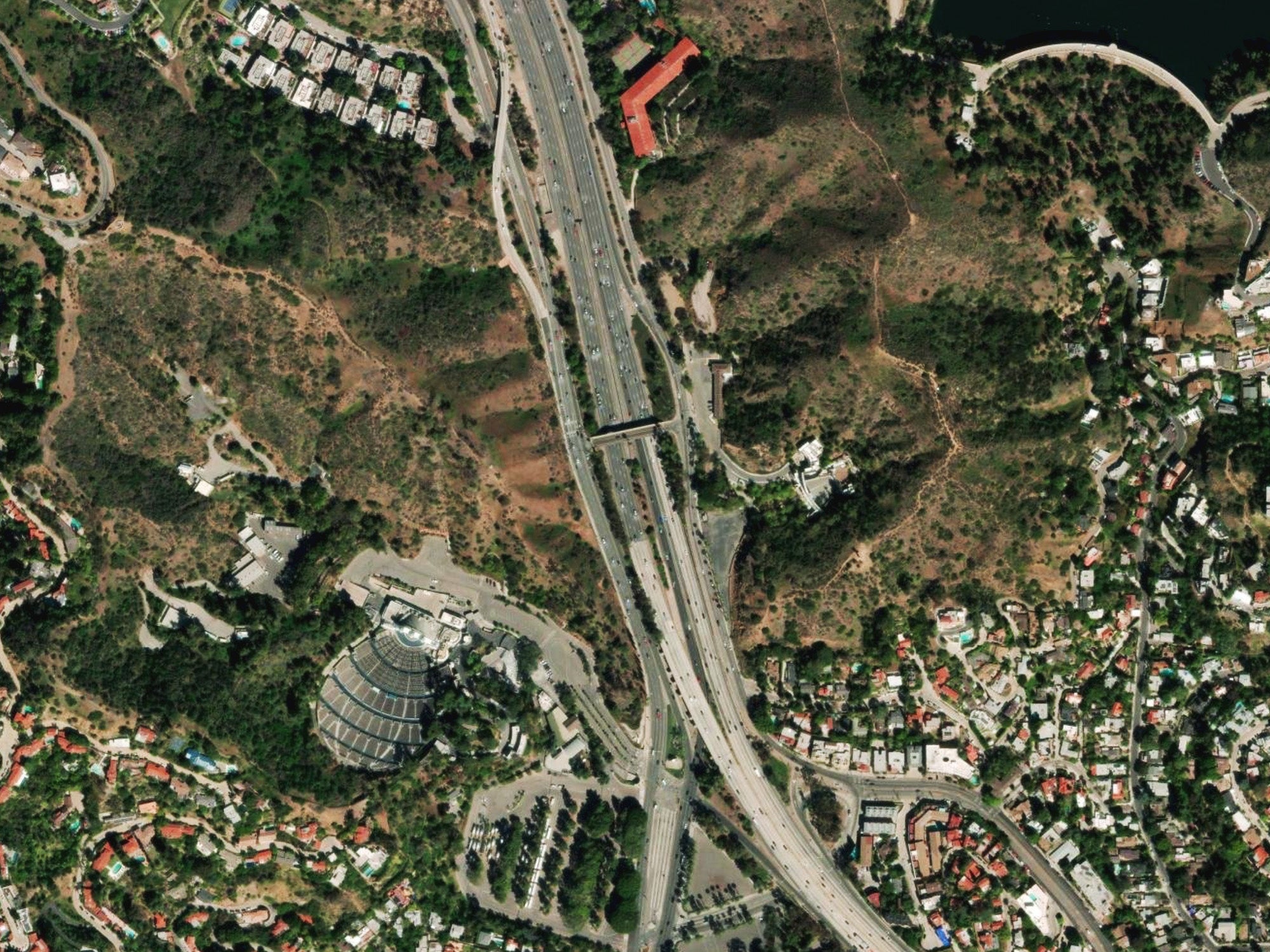 hollywood bowl poster