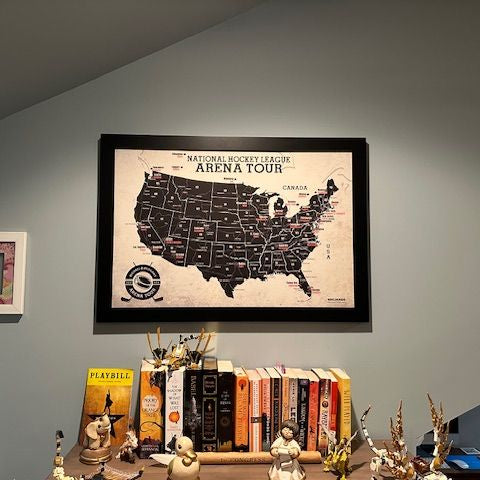 Hockey Arena Map hanging above a book shelf