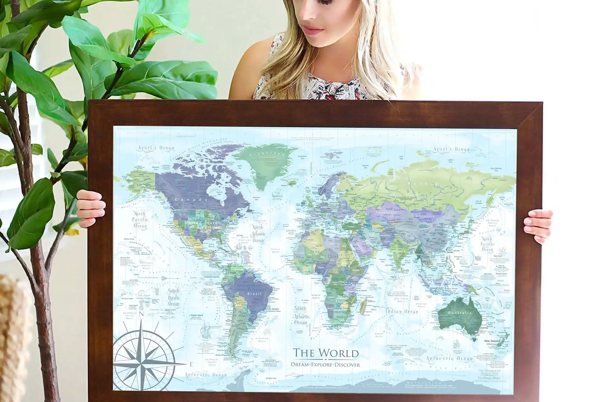 push pin travel map