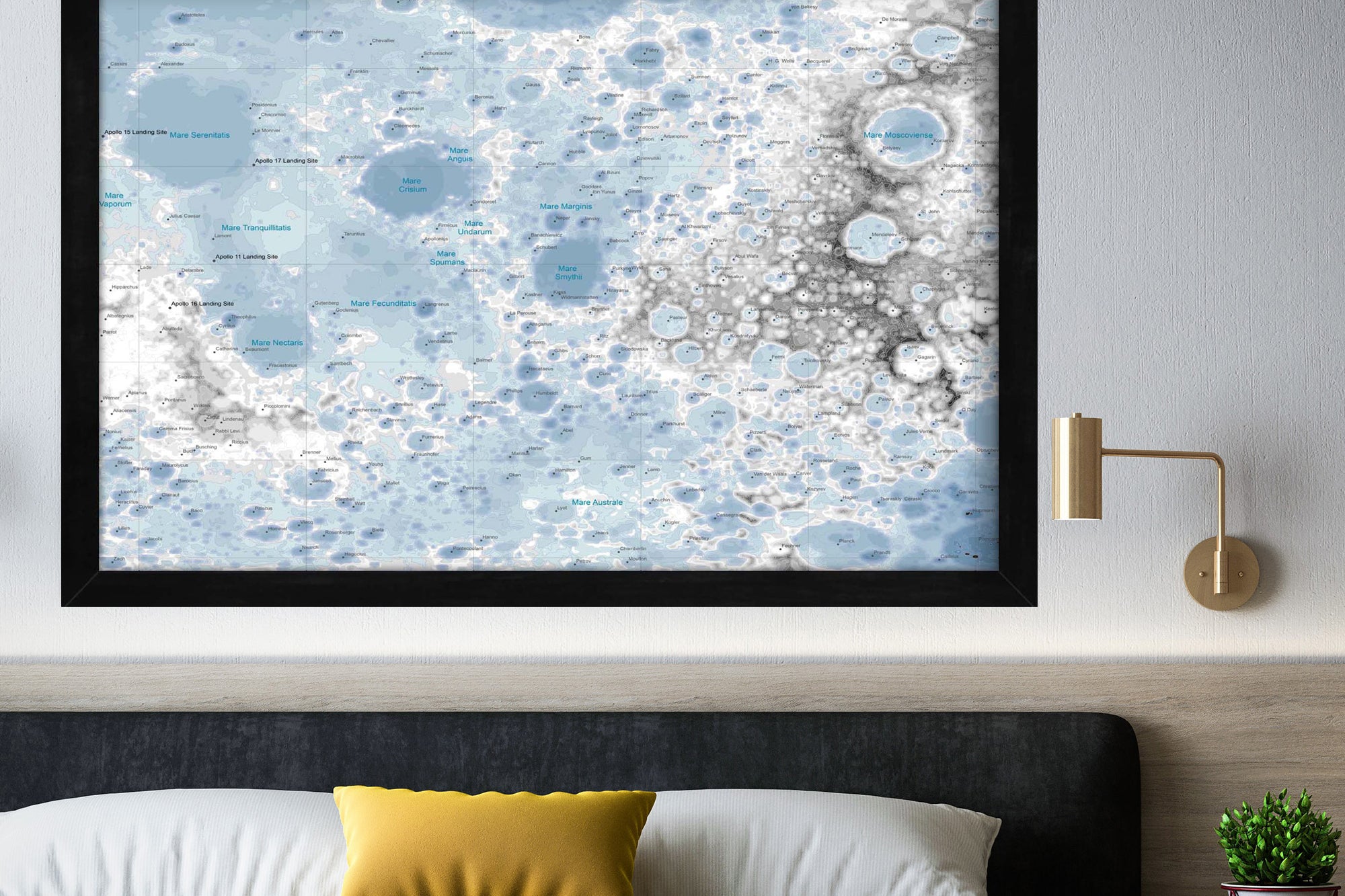 picture of the moon's surface