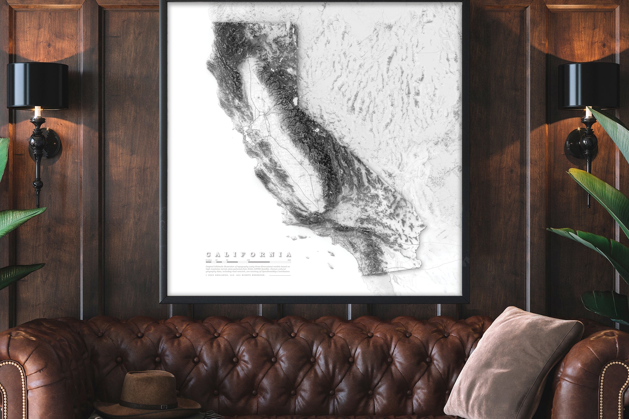 framed topographical map of california
