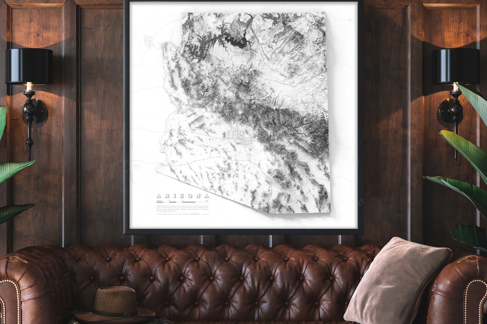 topographical arizona map