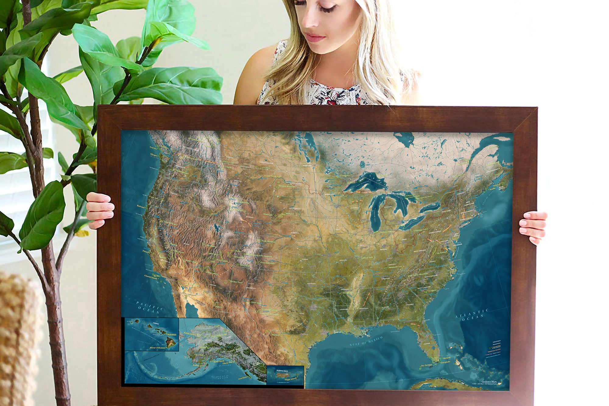 topographic map of usa with pushpins