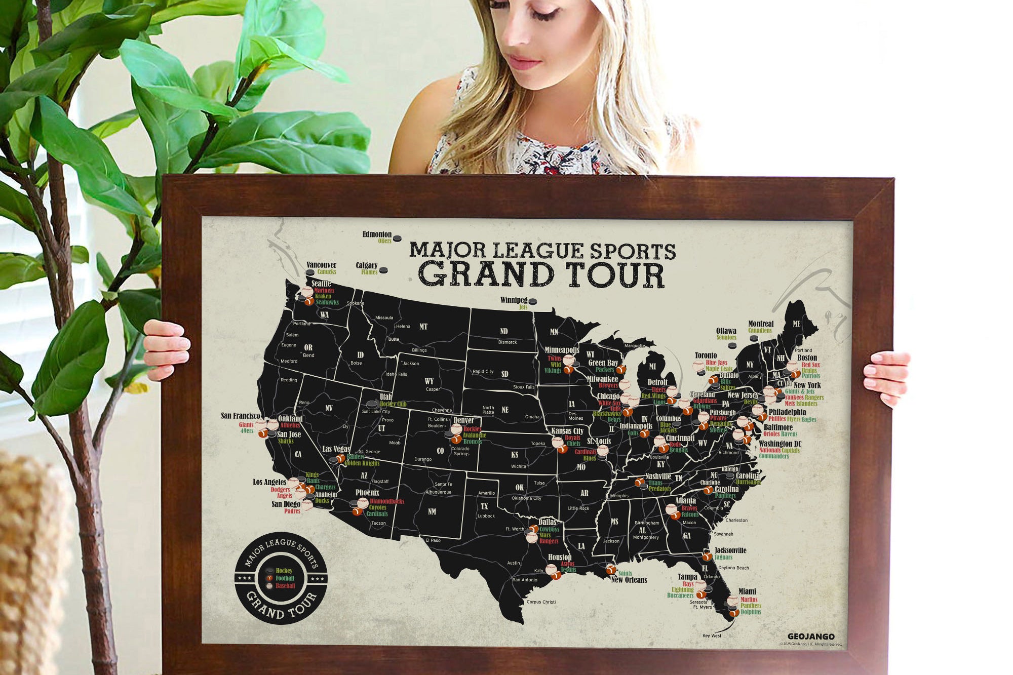 Major league sports map