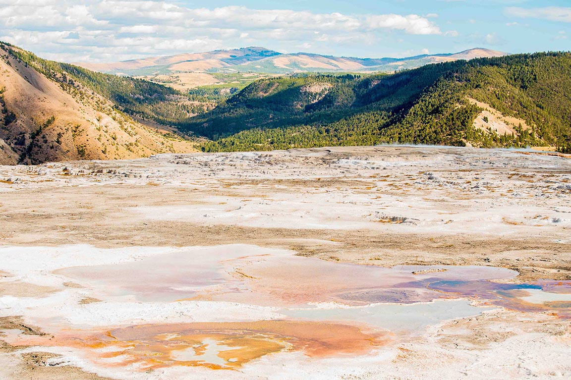 USA National Parks: Biodiversity in Yellowstone
