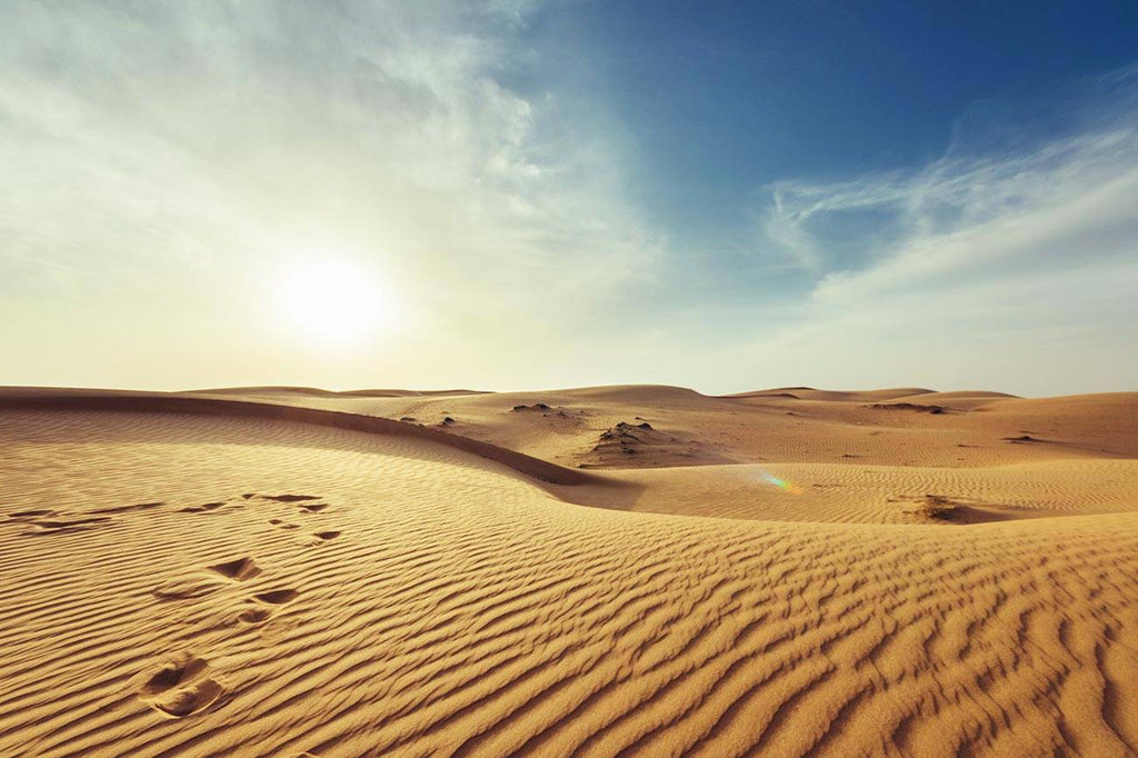 5 Largest Deserts In The World