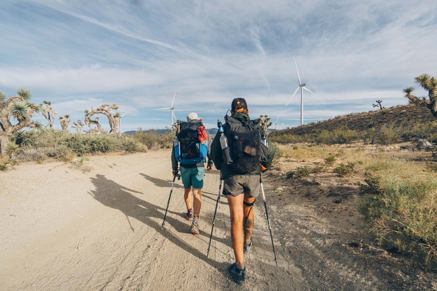 Pacific Crest Trail Part 1: The Desert