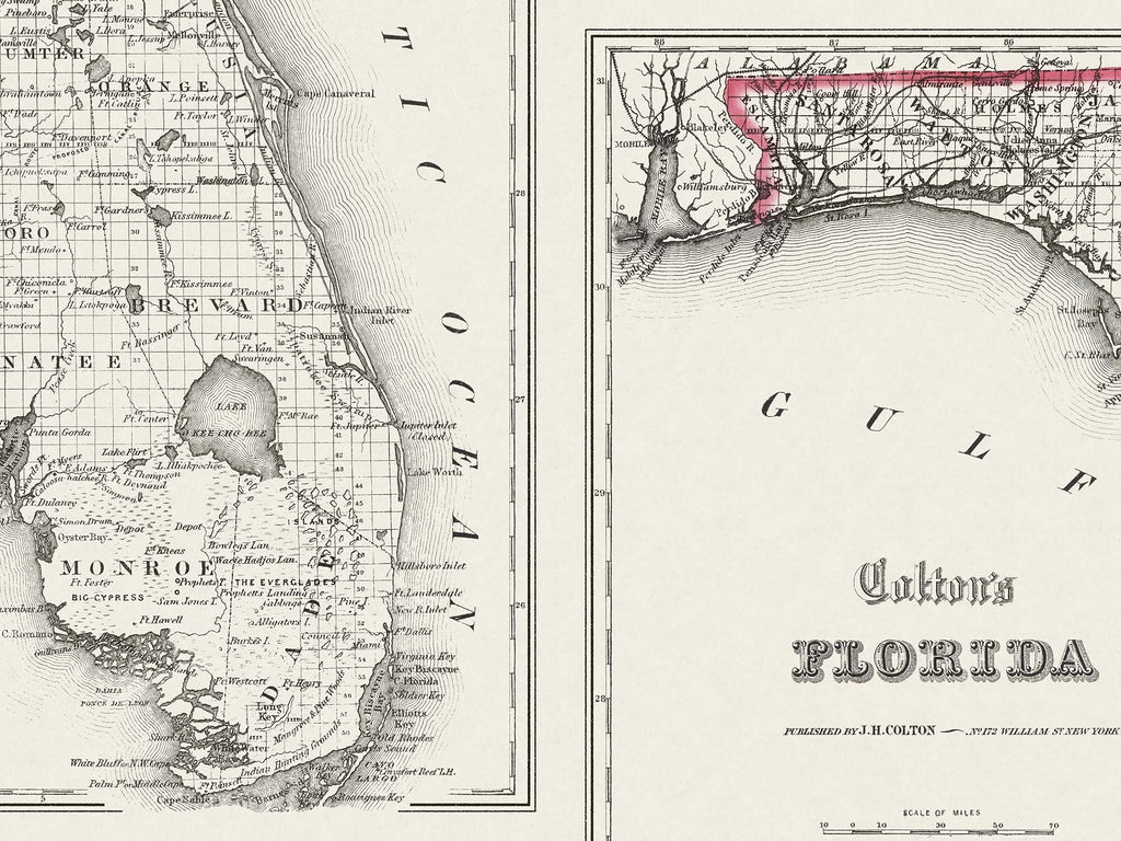 vintage florida map 1800s