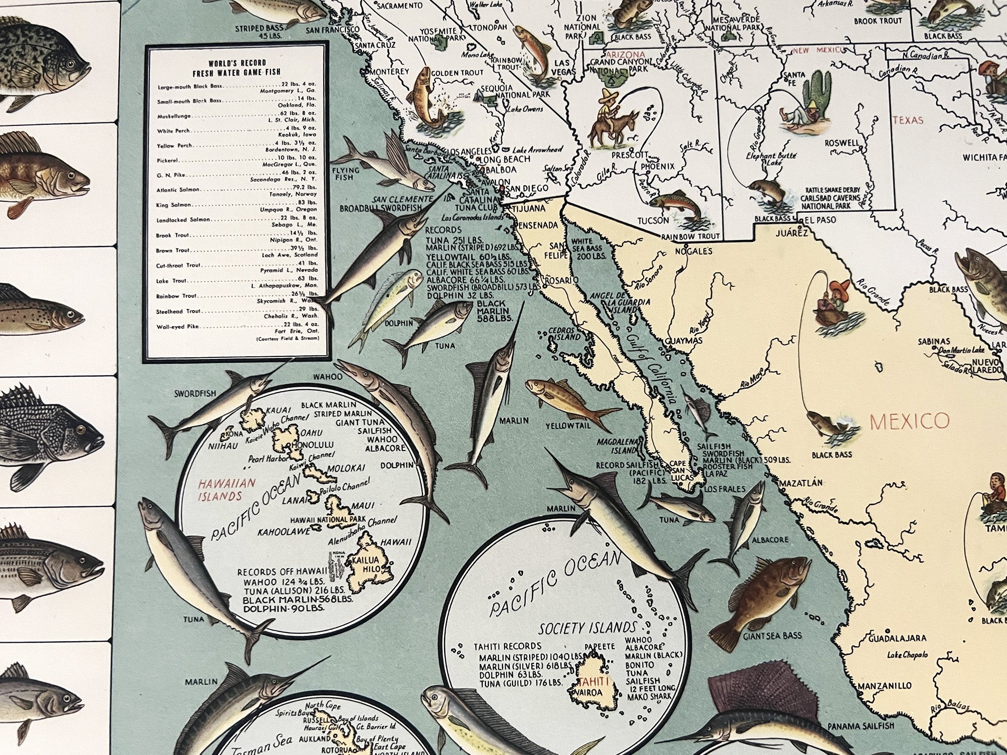 USA native fish map