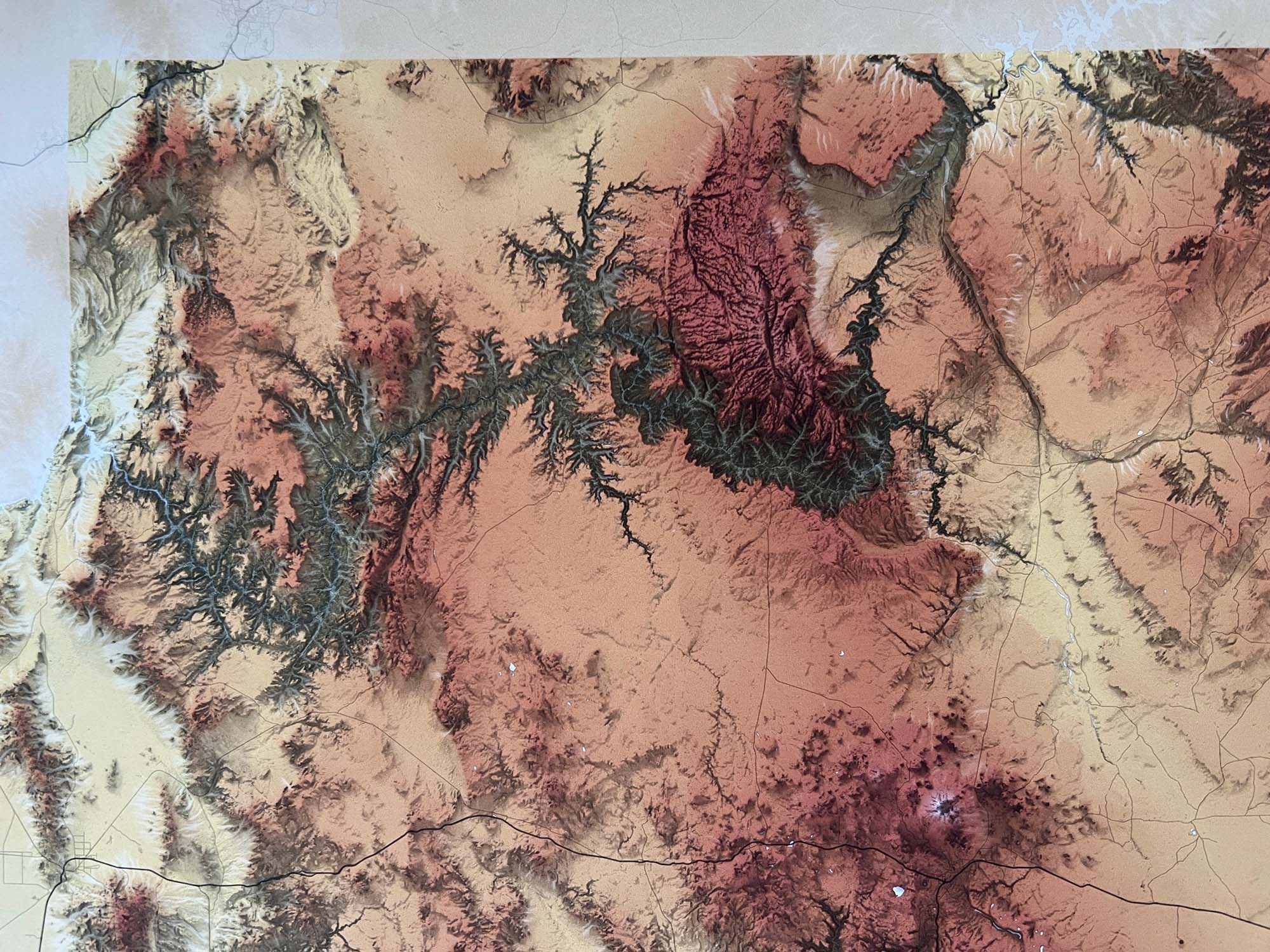 Wholesale Arizona Elevation Map Print GeoJango Maps