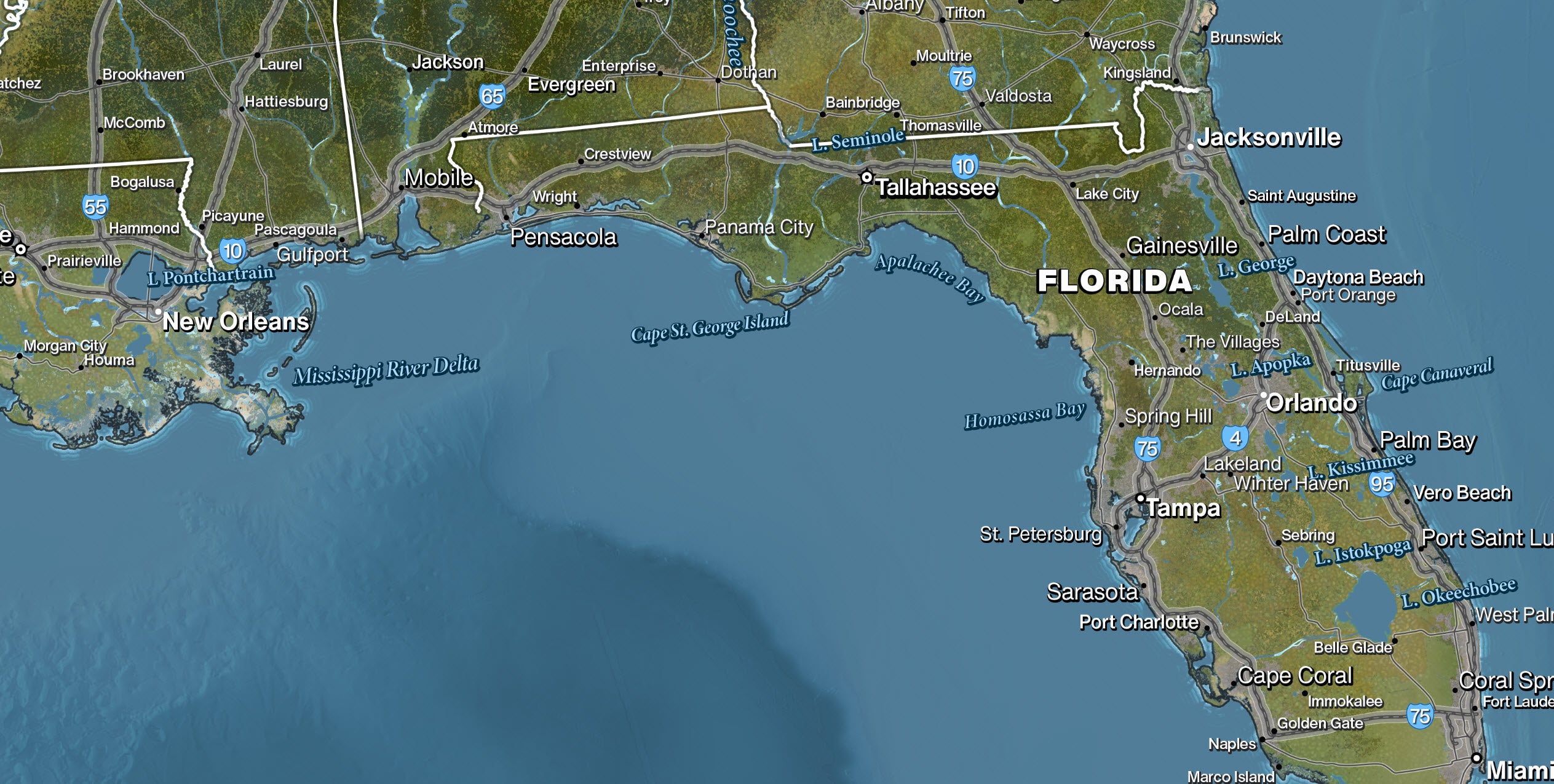Zoomed-in section of Southeastern USA from wall mural map highlighting cities, coastline detail, and terrain features.