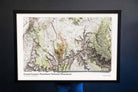 grand canyon 3d elevation map