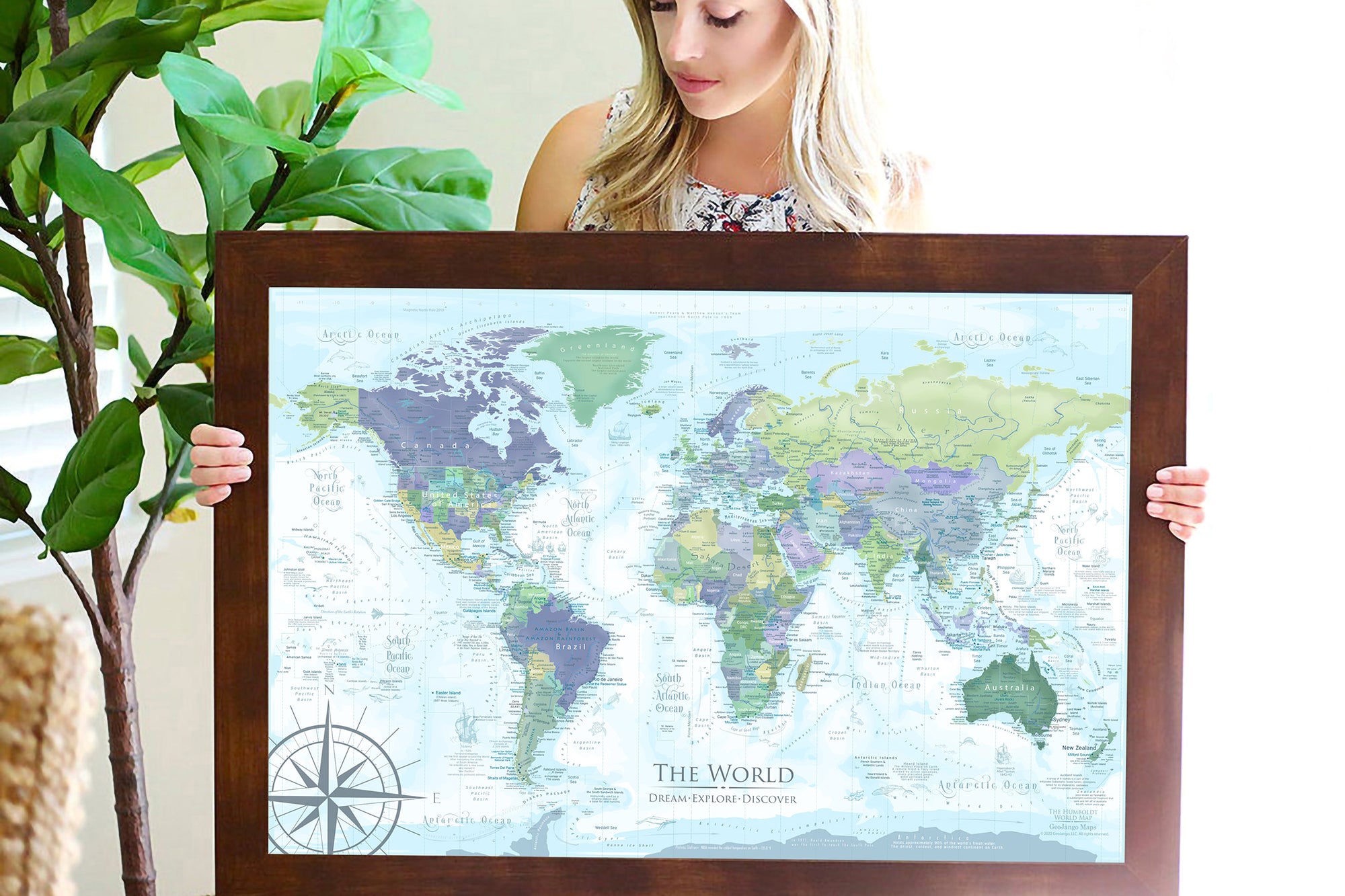 wall travel map with pins