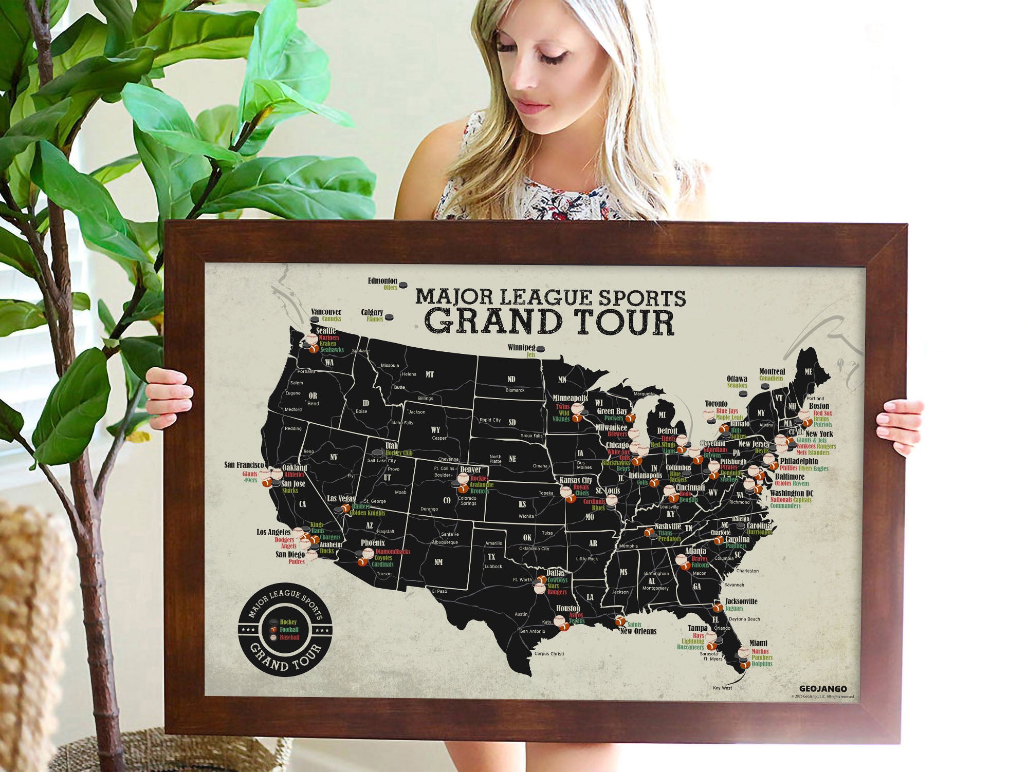 Major league sports map