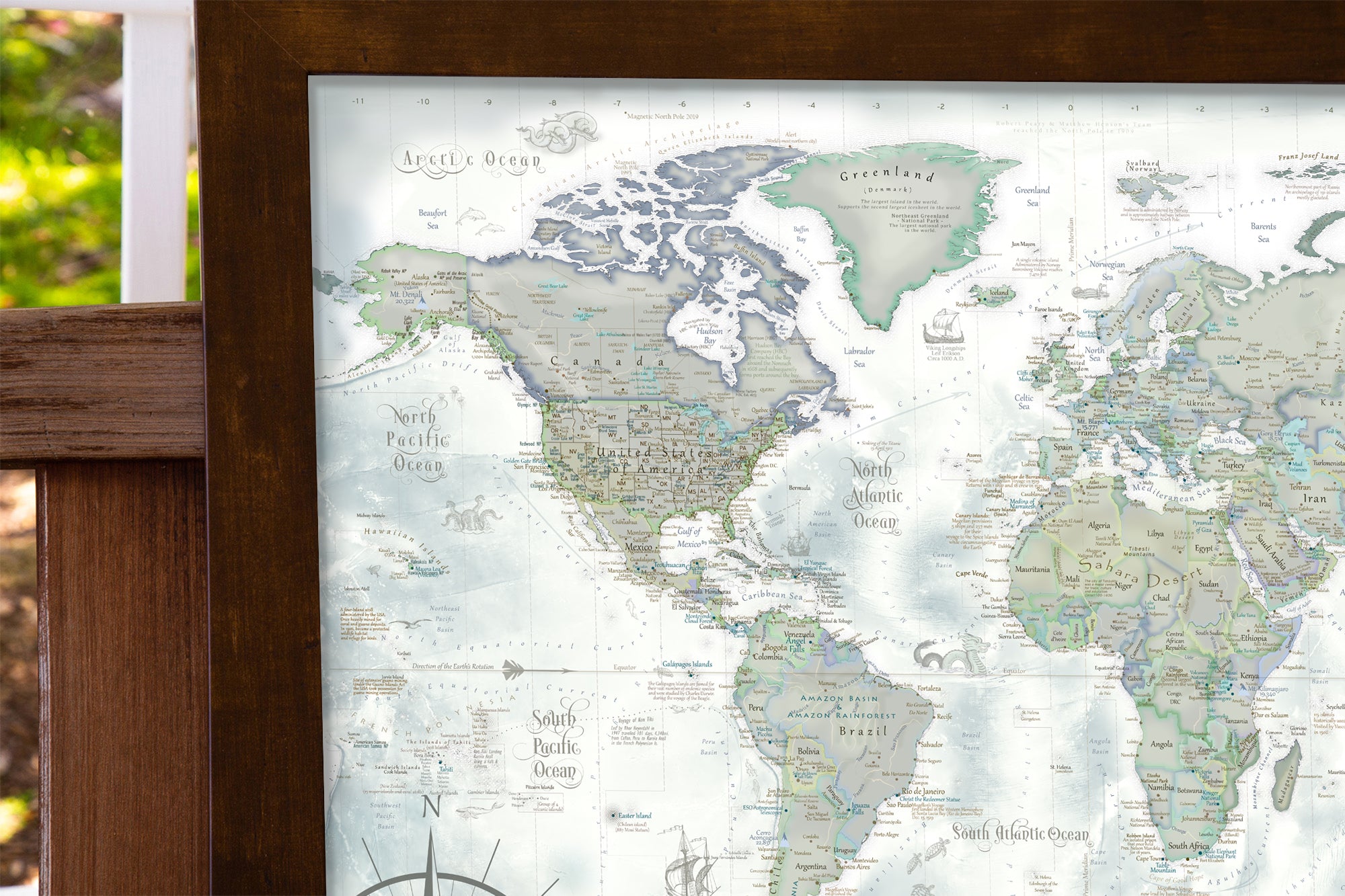  Personalized World Map Push Pin Board Map - The Darwin