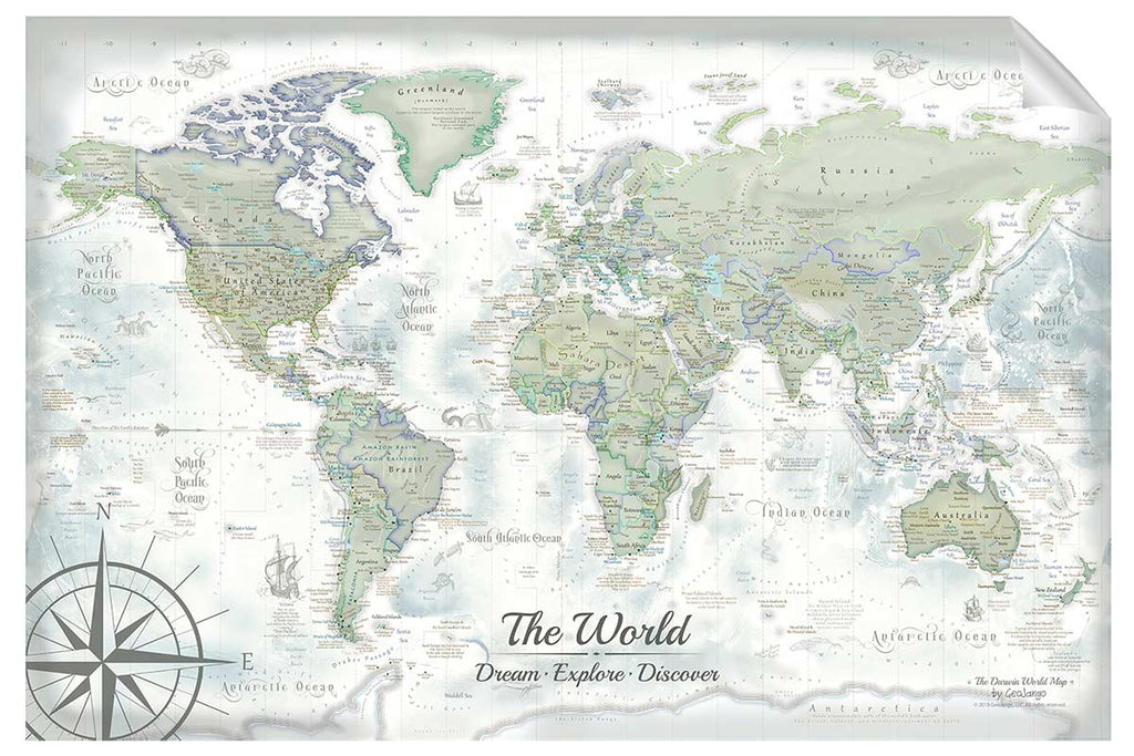 World map wall decal